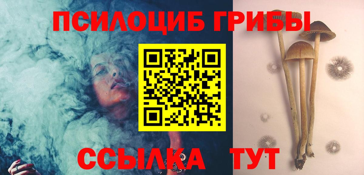 Галлюциногенные грибы ЛСД  где найти   Котельники  Вход с VPN 
